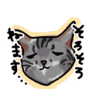 マロン＆クロエ（個別スタンプ：12）