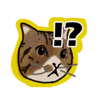 マロン＆クロエ（個別スタンプ：13）