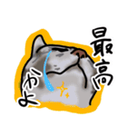 マロン＆クロエ（個別スタンプ：15）