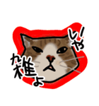 マロン＆クロエ（個別スタンプ：16）