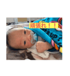 蓮絆の写真（個別スタンプ：7）