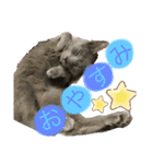 猫のルルちゃん（個別スタンプ：2）