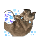 猫のルルちゃん（個別スタンプ：4）