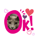 猫のルルちゃん（個別スタンプ：6）