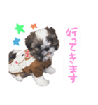 るーすけみーそーしー（個別スタンプ：6）