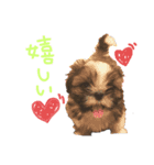 るーすけみーそーしー（個別スタンプ：7）