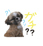 ぺこりーぬぺすた（個別スタンプ：2）