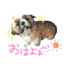 ぺこりーぬぺすた（個別スタンプ：3）