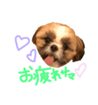ぺこりーぬぺすた（個別スタンプ：4）