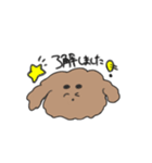 ふわふわプードル せいかつ（個別スタンプ：10）
