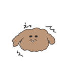 ふわふわプードル せいかつ（個別スタンプ：11）