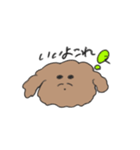 ふわふわプードル せいかつ（個別スタンプ：12）