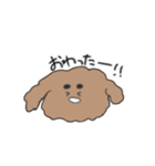 ふわふわプードル せいかつ（個別スタンプ：13）