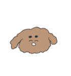 ふわふわプードル せいかつ（個別スタンプ：16）