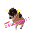 オレがふうたサマやー！Vol.1（個別スタンプ：1）