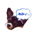 オレがふうたサマやー！Vol.1（個別スタンプ：2）