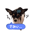 オレがふうたサマやー！Vol.1（個別スタンプ：3）