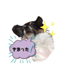 オレがふうたサマやー！Vol.1（個別スタンプ：4）