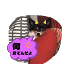 オレがふうたサマやー！Vol.1（個別スタンプ：5）