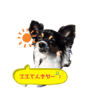 オレがふうたサマやー！Vol.1（個別スタンプ：6）