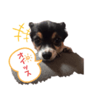 オレがふうたサマやー！Vol.1（個別スタンプ：7）