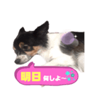 オレがふうたサマやー！Vol.1（個別スタンプ：8）