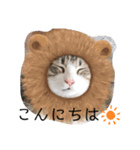 寧々と茶々2（個別スタンプ：7）