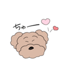 プードルです♡（個別スタンプ：1）