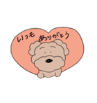 プードルです♡（個別スタンプ：4）