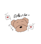 プードルです♡（個別スタンプ：7）