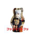しょうきち4（個別スタンプ：1）