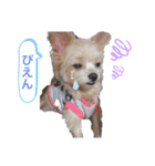 2人はねねこは（個別スタンプ：5）