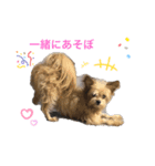 2人はねねこは（個別スタンプ：6）
