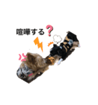 2人はねねこは（個別スタンプ：7）