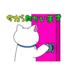 うちのしろいやつ2（個別スタンプ：24）