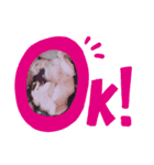 チワワのつむぎ君（個別スタンプ：6）