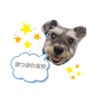 ぽてLove部（個別スタンプ：1）