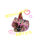 ぽてLove部（個別スタンプ：4）