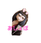 みたんだけのすたんぷ（個別スタンプ：5）