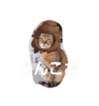 みたんだけのすたんぷ（個別スタンプ：8）