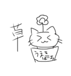 白猫ちゃん。（個別スタンプ：3）