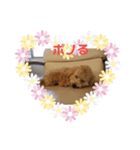 ポノちゃんスタンプその4（個別スタンプ：5）