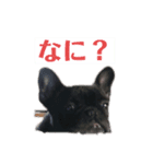 たぬきの足裏（個別スタンプ：8）