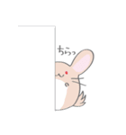 ちんちらんど（個別スタンプ：37）