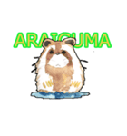 ARAIGUMA by watercolor（個別スタンプ：1）