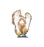 ARAIGUMA by watercolor（個別スタンプ：7）