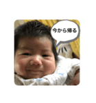 踏ん張る系（個別スタンプ：5）