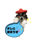 オレがふうたサマやー！Vol.2（個別スタンプ：1）