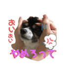 オレがふうたサマやー！Vol.2（個別スタンプ：5）