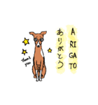 イタグレちゃんのスタンプ（個別スタンプ：5）
